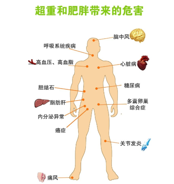 减肥黑科技——嫦娥爆脂机器人要你好看!(图1) 8f5ad32e112c4ce83ed8e7355d41b5a6.png